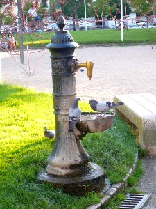 Miranda de Ebro - Parque Antonio Cabezón 05