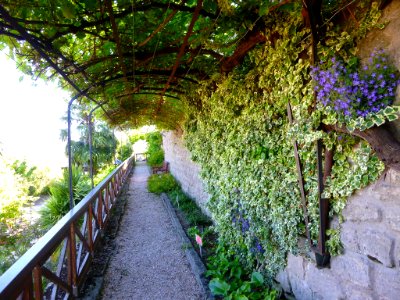 Miranda de Ebro - Centro de Interpretación de la Miranda Antigua (CIMA), Jardín Botánico 26