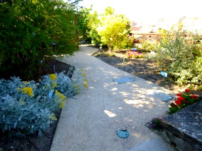 Miranda de Ebro - Centro de Interpretación de la Miranda Antigua (CIMA), Jardín Botánico 16