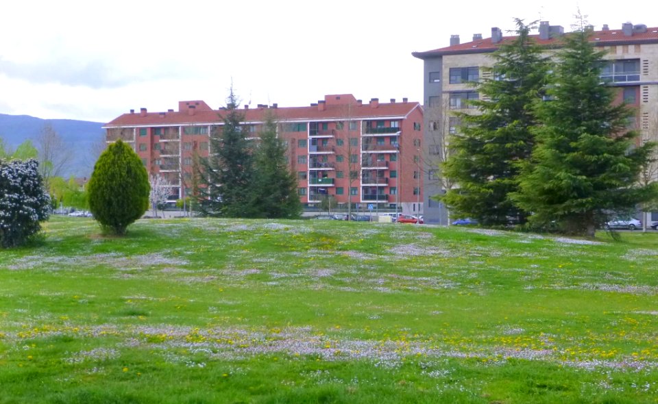Miranda de Ebro - Parque Alcalde Emiliano Bajo 09