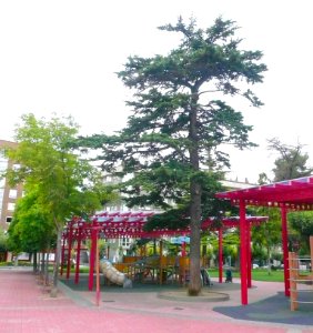 Miranda de Ebro - Parque Antonio Machado 03