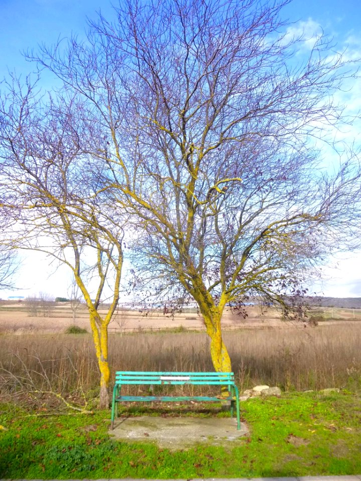 Miranda de Ebro - Laguna de Bayas 16
