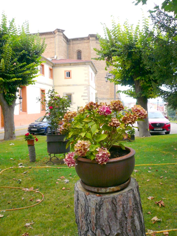 Miranda de Ebro - Jardines de los Sagrados Corazones 20