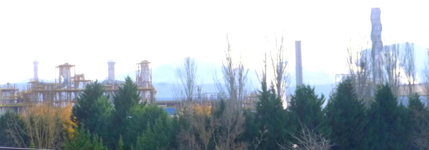 Miranda de Ebro - Montefibre Hispania, S.A. (1)