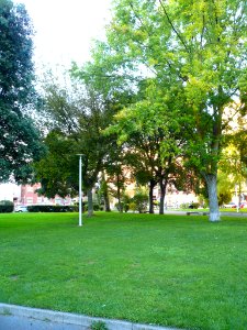 Miranda de Ebro - Parque Antonio Cabezón 06