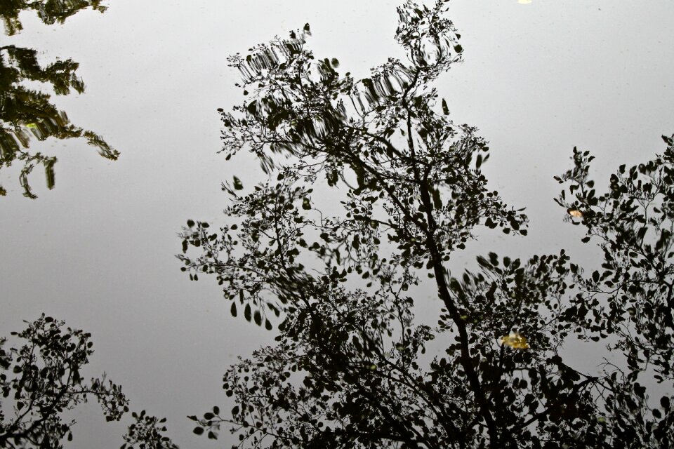 Nature outdoor lake