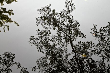 Nature outdoor lake