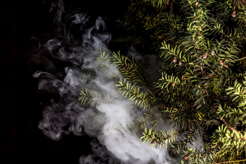 English yew yew vaporizer