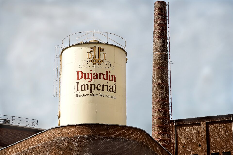 Dujardin spirits cognac