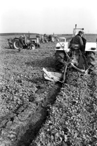 Nationale kampioenschappen ploegen in polder bij Lelystad een van de deelnemers , Bestanddeelnr 927-5015