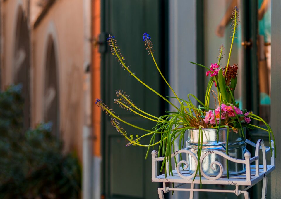 Balcony plant deco decoration