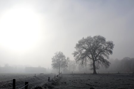 Sun wintry nature