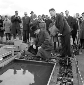 Minister Van Aartsen opent Madurodam, Bestanddeelnr 913-7241