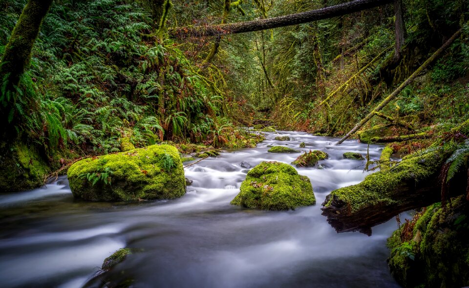 Nature outdoors stream photo