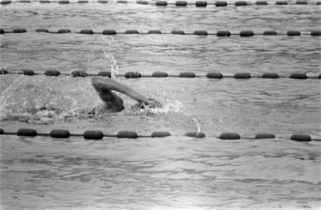 Nationale kampioenschappen zwemmen, Leeuwarden, Bestanddeelnr 923-6825