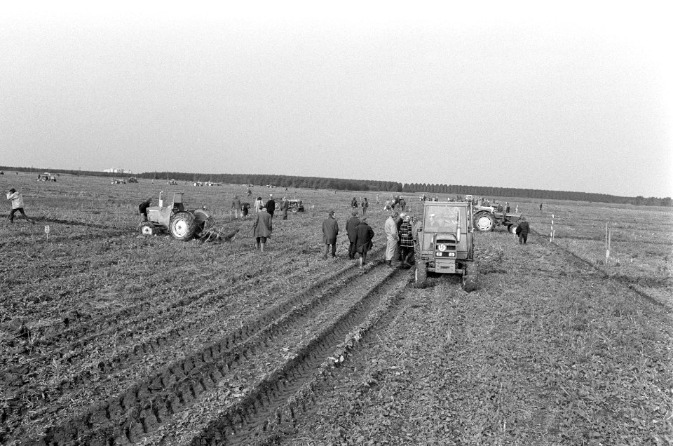 Nationale kampioenschappen ploegen in polder bij Lelystad overzicht kampioenscha, Bestanddeelnr 927-5018