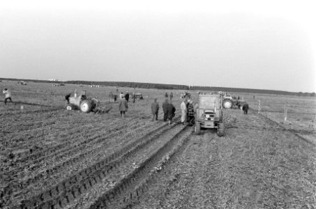 Nationale kampioenschappen ploegen in polder bij Lelystad overzicht kampioenscha, Bestanddeelnr 927-5018