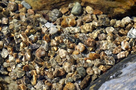 Cool nature streams