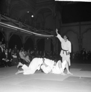 Nationale Judokampioenschappen in de Haagse Dierentuin Een van de partijen, Bestanddeelnr 914-9867
