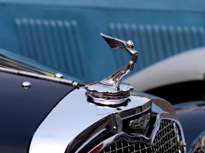 Nationale oldtimerdag Zandvoort 2010, TRIUMPH GLORIA ornament