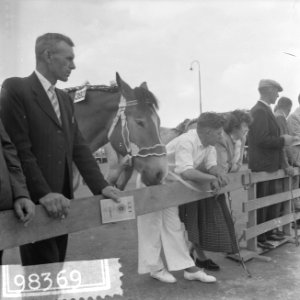 Nationale trekpaardententoonstelling 1958 Den Bosch, Bestanddeelnr 909-8369