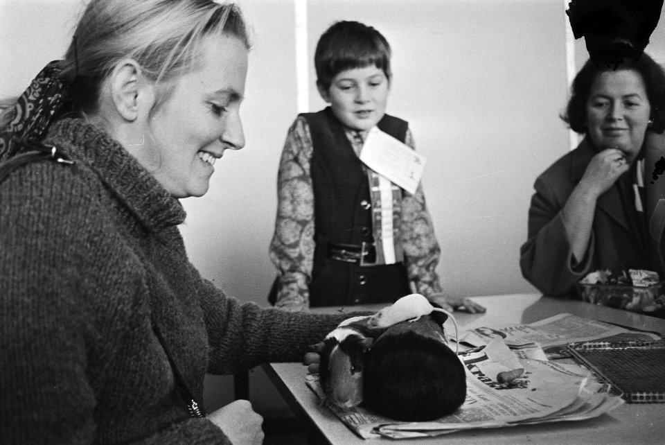 Nationale kleine dierententoonstelling Savoa, Amsterdam, RAI, Bestanddeelnr 924-0454