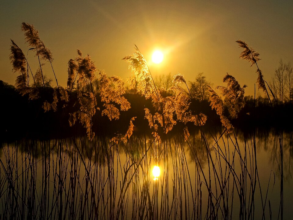 Sun landscape nature