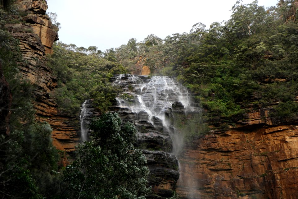 National Pass trail, Blue Mountains National Park 28