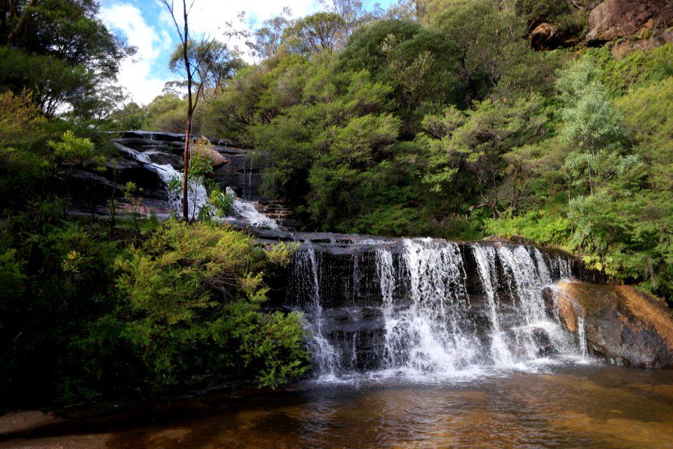 National Pass trail, Blue Mountains National Park 19