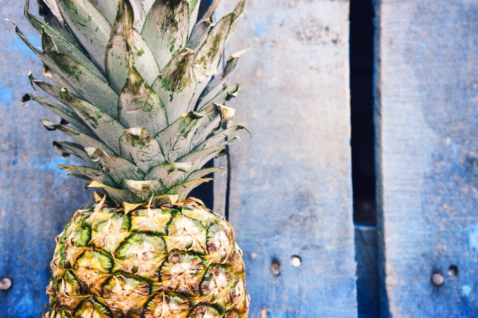 Summer vibes tropical fruit wood