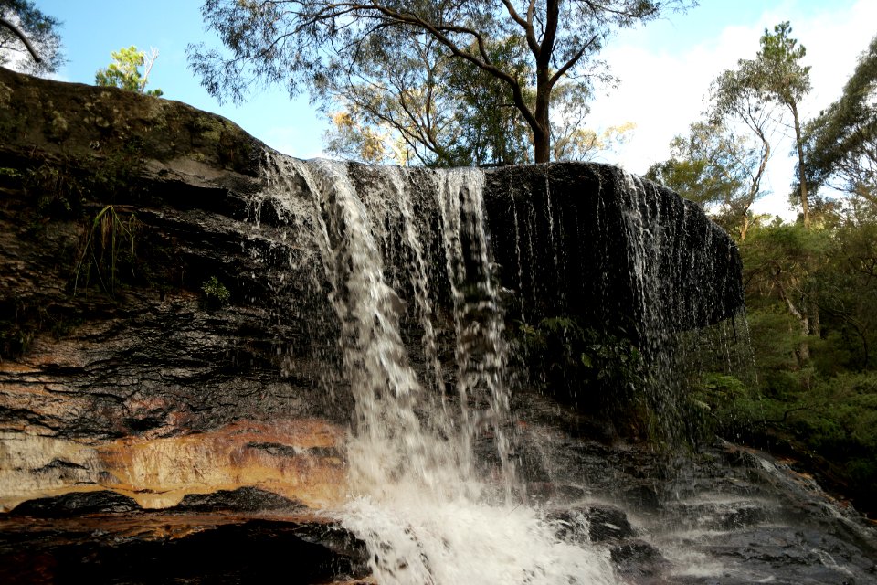 National Pass trail, Blue Mountains National Park 16