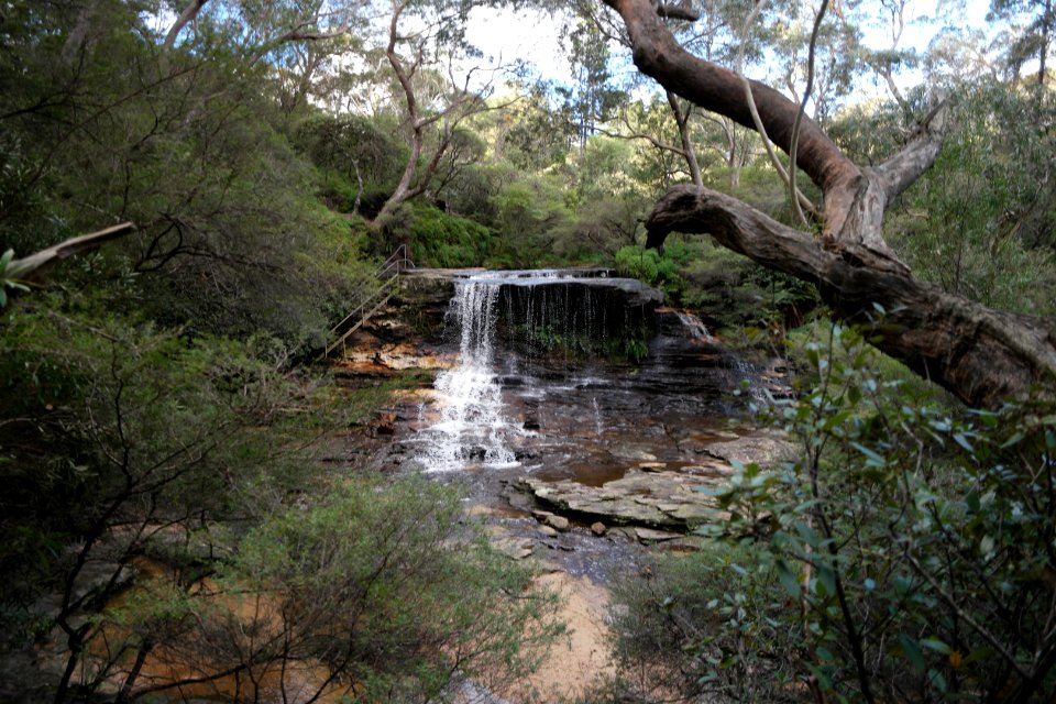 National Pass trail, Blue Mountains National Park 17
