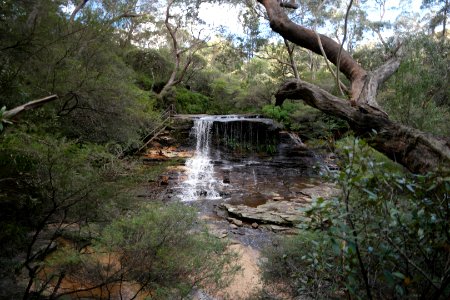 National Pass trail, Blue Mountains National Park 17 photo