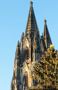 Christmas tree christmas tree in front of the cologne cathedral historic preservation