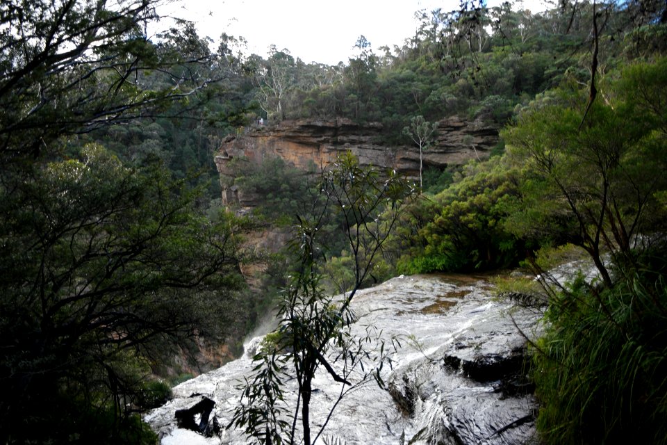 National Pass trail, Blue Mountains National Park 20