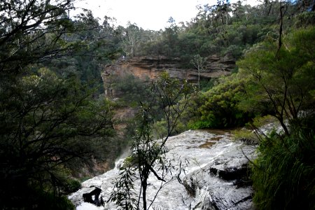 National Pass trail, Blue Mountains National Park 20 photo