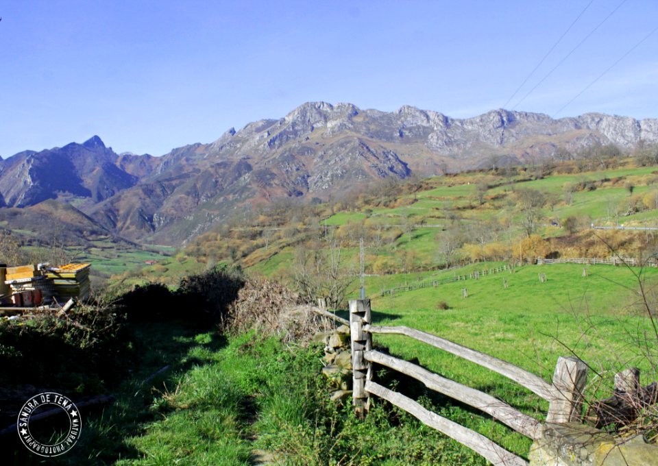 National Park Redes (200502415)