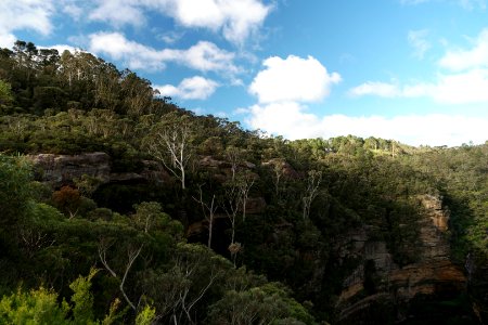 National Pass trail, Blue Mountains National Park 09 photo