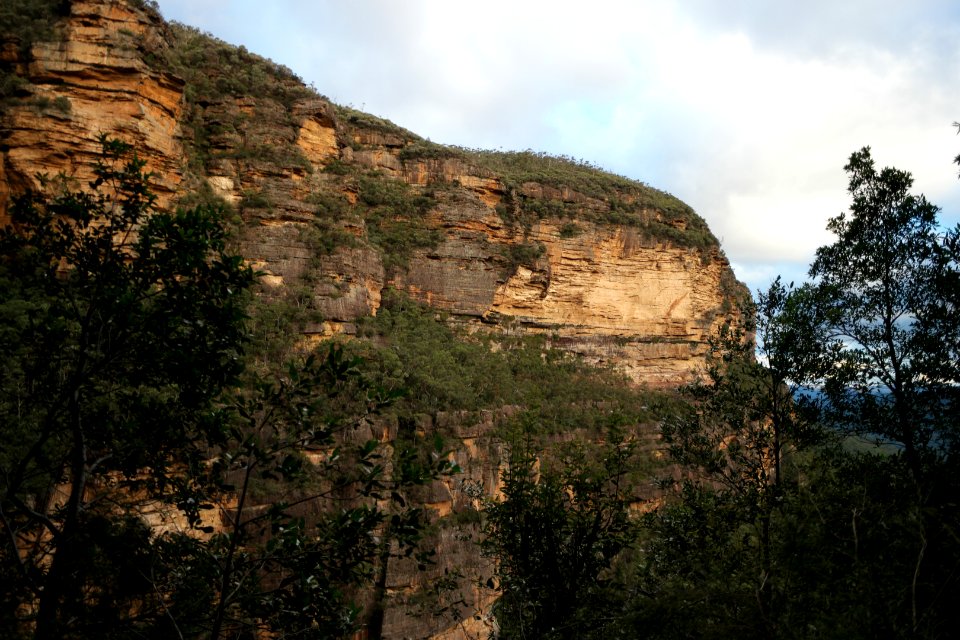 National Pass trail, Blue Mountains National Park 30