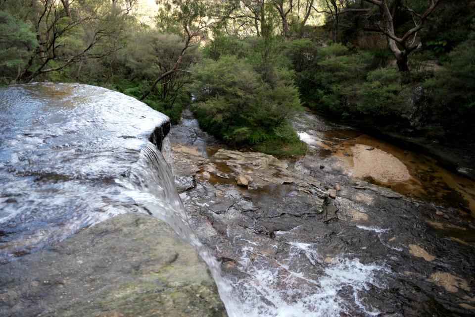 National Pass trail, Blue Mountains National Park 14