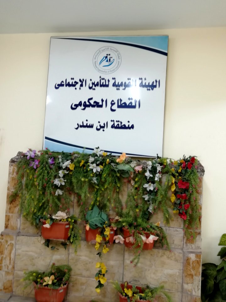 National social insurance association of Egypt