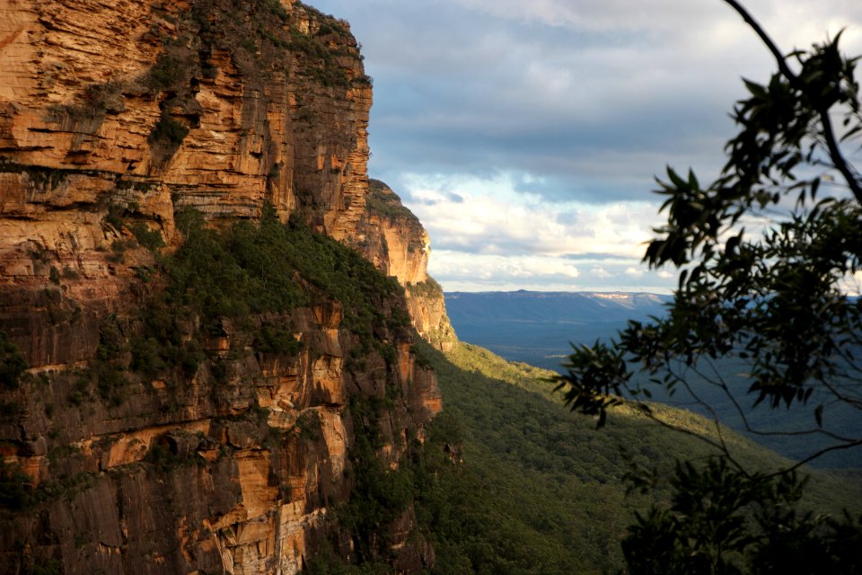National Pass trail, Blue Mountains National Park 32