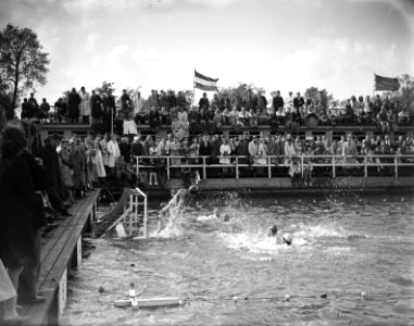 Nationale Waterpolodag te Utrecht, Bestanddeelnr 901-7835