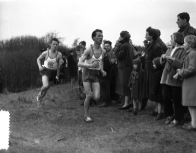 Nationale Veldloop Kampioenschappen 1954 in Heerenduinen IJmuiden, Bestanddeelnr 906-3607