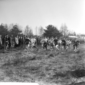 Nationale veldloop te Vught, start dames, Bestanddeelnr 916-1499