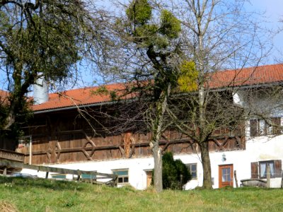 Natternberg 27 Bad Aibling 3