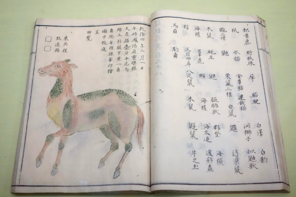 Natural History Paintings compiled by Goto Kosei (1696-1771), dated 1757, once owned by Kimura Kenkado, color on paper - Tokyo National Museum - DSC05461