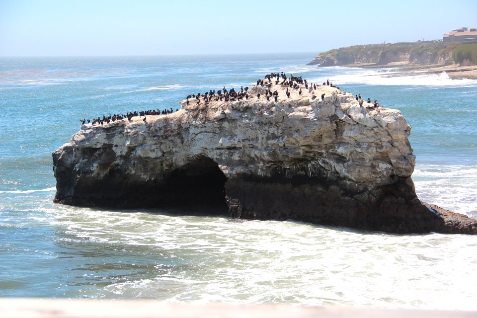 Natural Bridges State Beach Aug 2019 1
