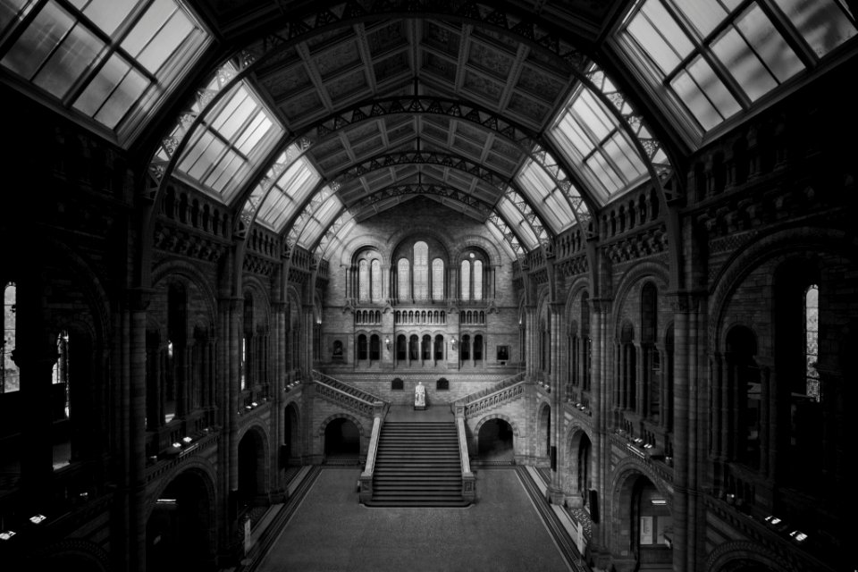 Natural History Museum (61859451)