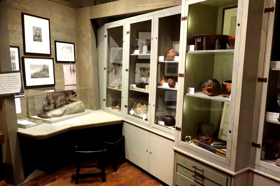 Natural history and ethnography cabinet - Oakland Museum of California - DSC05114